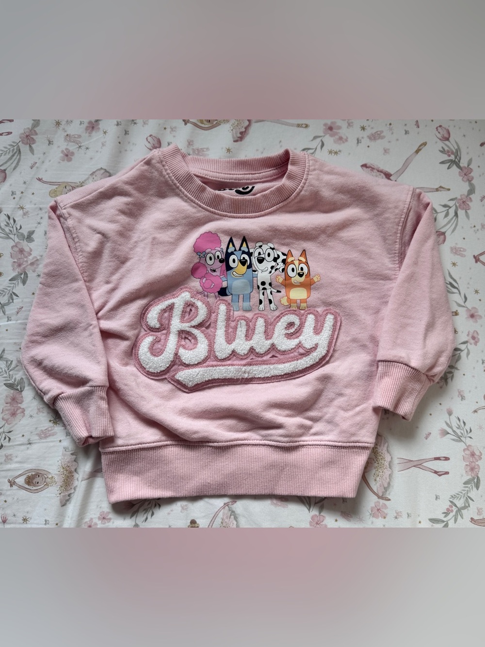 Bluey Girls 2T Pink Chenille Logo Sweatshirt Bingo Friends Crewneck